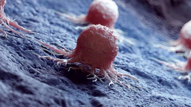 3D illustration of cancer cells spreading on tissue surface